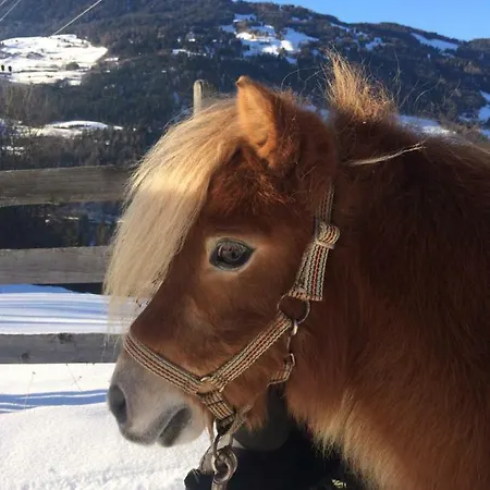 Apart.pitztal 아파트