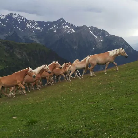 Apartmán Apart.pitztal Arzl im Pitztal