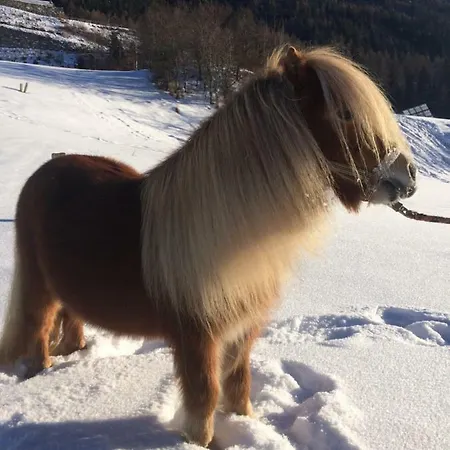 Daire Apart.pitztal Arzl im Pitztal