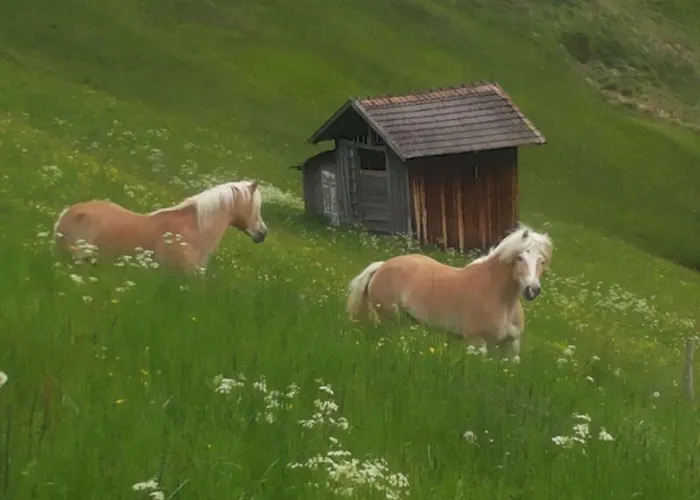 アパート Apart.pitztal