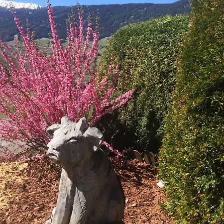 Apart.pitztal Apartamento Arzl im Pitztal