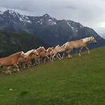 公寓 Apart.pitztal 阿泽皮茨陶
