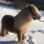 公寓 Apart.pitztal 阿泽皮茨陶
