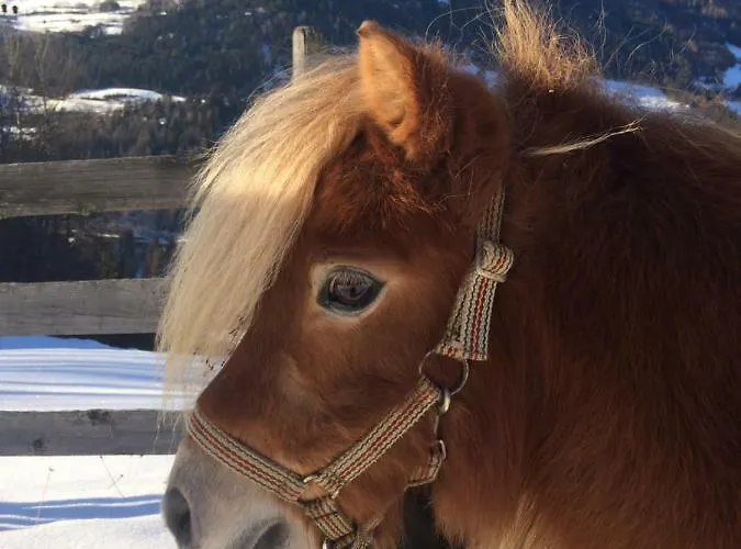 Apart.pitztal Апартаменты