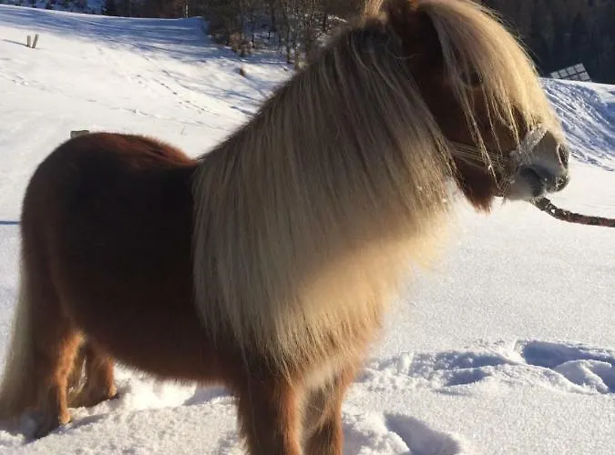 Апартаменты Apart.pitztal Арцль (Пицталь)